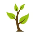 Logo Torsten Knappick Forstwirtschaft