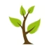 Logo Torsten Knappick Forstwirtschaft