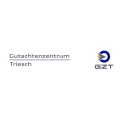 Logo Kfz-Gutachter Triesch