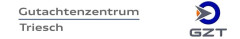 Logo Torsten Triesch Kfz Sachverst.Büro