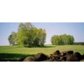 Logo Tourismusverband Land Brandenburg e.V.