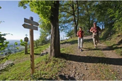 Tourist-Informationszentrum Oberpf&auml;lzer Wald Landkreis Schwandorf Nabburg