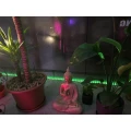 Traditional Thai Massage Leverkusen