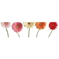 Logo Traude's Blumenstube