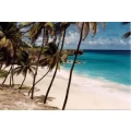 Logo Travel World Goosmann OHG