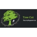 Tree Cut Baumpflegeservice Schwanstetten