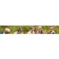 Logo TriAngel Birgit Yvonne Hamisch
