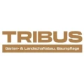 TRIBUS GmbH & Co. KG Borgentreich