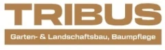 TRIBUS GmbH & Co. KG Borgentreich