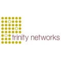 Logo trinity networks M&uuml;hl GbR