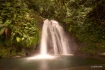 Logo Tropical Reisen