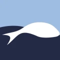 Logo Trout GmbH