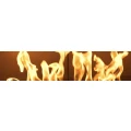 Logo Trunz-Dembitzki e.K.