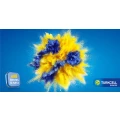 Logo Turkcell Europe GmbH