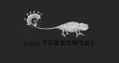 Logo Turkowski Einar Bildwelten