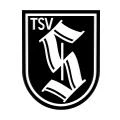 Logo Turn- und Sportvereinigung Sachsenhausen