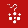 Logo Tutti Frutti GmbH