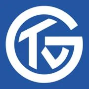 Logo TV Grosswallstadt Handball AG
