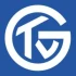 Logo TV Grosswallstadt Handball AG