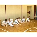 Training im Mudo Taekwondo Rehling