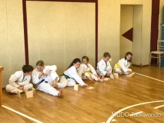 Training im Mudo Taekwondo Rehling