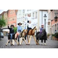 Logo Ulrich Markfort Spielholzpferde Funny Horses