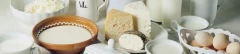 Logo Ulrich Schneider Käse und mehr