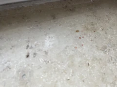 Umlandt Glas- und Geb&auml;udereinigung Garching