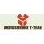 Logo Umzugsservice T-Team