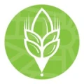 Logo Upyama Green Lifestyle