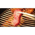 Logo Ushido-Japanese BBQ