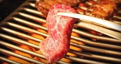 Logo Ushido-Japanese BBQ