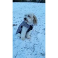 Ute Schulz Hundesalon Solingen