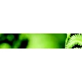 Logo Steinbauer, Uwe