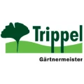 Uwe Trippel Grevenbroich