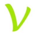 Logo V Labs Ltd