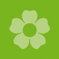 Logo vacances Mobiler Sozial- und Pflegedienst GmbH