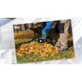 Vagt Garten Hausmeisterservice / Winterdienst / Glass- & Geb&auml;udereinigung Ellerau