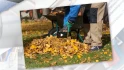 Logo Vagt Garten Hausmeisterservice / Winterdienst / Glass- & Gebäudereinigung