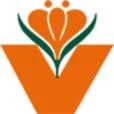 Logo Vatter Blumen und Pflanzen