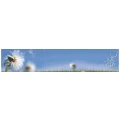 Logo VdK Integrationskindertagesst&auml;tte Pusteblume