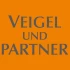 Logo Veigel und Kujacinski Steuerberater