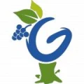 Logo Verbandsgemeindeverwaltung G&ouml;llheim