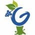 Logo Verbandsgemeindewerke Göllheim