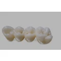 Verdi Dental Hameln