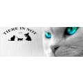 Logo Verein Tiere In Not E.V.