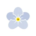 Logo Vergi&szlig;meinnicht Inh. R&uuml;diger Konzen