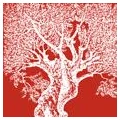 Logo Verlag &Ouml;lbaum