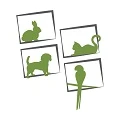 vetmed-Bonn GmbH Bonn