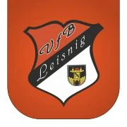 Logo VfB Leisnig e.V.